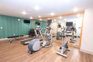 Fitness center at/o fitness facilities sa Holiday Inn Express & Suites Iron Mountain, an IHG Hotel