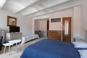 een slaapkamer met een blauw bed en een televisie bij T1 Rue CASTELLANE in Amélie-les-Bains-Palalda +28 foto's
