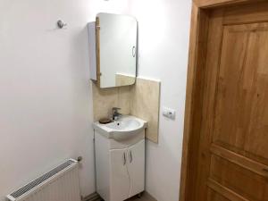 ein Bad mit einem Waschbecken und einem Wandspiegel in der Unterkunft GIL apartments, Korzo 7,2 centre in Uschhorod