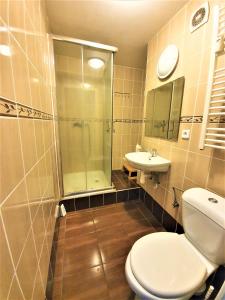 a bathroom with a toilet and a shower and a sink at Epstein Apartments in Prague