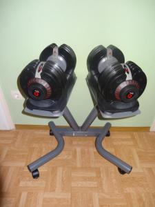 Fitness centrum a/nebo fitness zařízení v ubytování Haus Alpina Ski In & Ski Out