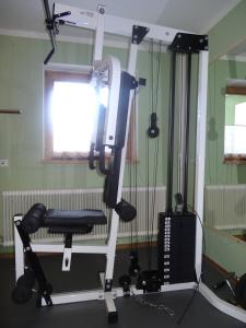 Fitness centrum a/nebo fitness zařízení v ubytování Haus Alpina Ski In & Ski Out