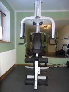 Fitness centrum a/nebo fitness zařízení v ubytování Haus Alpina Ski In & Ski Out