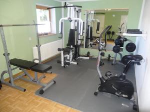 Fitness centrum a/nebo fitness zařízení v ubytování Haus Alpina Ski In & Ski Out