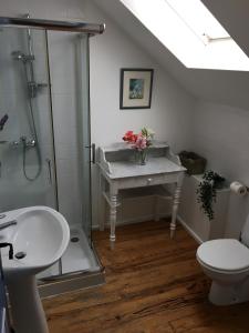 CaylusにあるLes Gîtes Pérardのバスルーム(洗面台、トイレ、シャワー付)