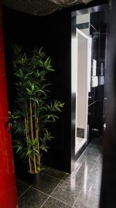 ミラノにあるアイ アム ヒア ジョイア66の鏡の横に鉢植えの植物があるバスルーム