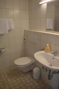 ein Bad mit einem WC und einem Waschbecken in der Unterkunft Boardinghaus zu Coburg Residenz in Coburg