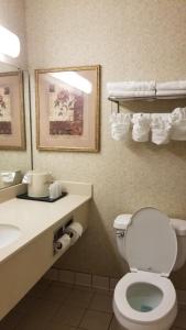 a bathroom with a toilet and a sink at Wingate by Wyndham Airport - Rockville Road in Indianapolis