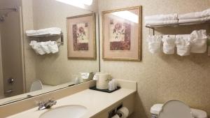 a bathroom with a sink and a mirror and a toilet at Wingate by Wyndham Airport - Rockville Road in Indianapolis