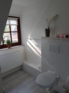 a white bathroom with a toilet and a window at Kranichhof in Hohwacht