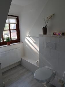 biała łazienka z toaletą i oknem w obiekcie Kranichhof w mieście Hohwacht