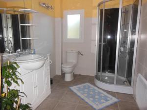 a bathroom with a shower and a toilet and a sink at LES BRUYERES in Chaptelat