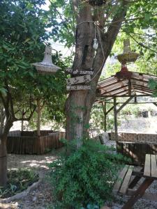 un cartel en un árbol con una casa de pájaros. en Olympos Yakamoz Pansiyon, en Olympos