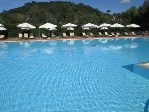 a large swimming pool with chairs and umbrellas at Fattoria La Steccaia in Riparbella