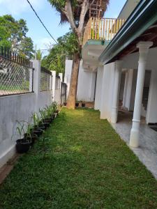 Giardino di Mangohut Joy