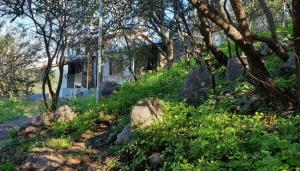 ein Haus auf einem Hügel mit Felsen und Bäumen in der Unterkunft Casa en las Sierras de Córdoba in Unquillo