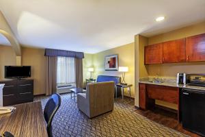מטבח או מטבחון ב-Holiday Inn Express Hotel & Suites Houston-Downtown Convention Center, an IHG Hotel