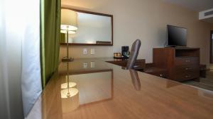 TV a/nebo společenská místnost v ubytování Holiday Inn Express and Suites Celaya by IHG