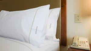 Postel nebo postele na pokoji v ubytování Holiday Inn Express and Suites Celaya by IHG