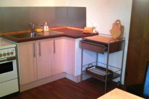 a small kitchen with a sink and a counter at Landhaus Haid in Presseck