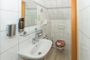 a bathroom with a sink and a toilet at Waldhaus Altenbrak in Altenbrak