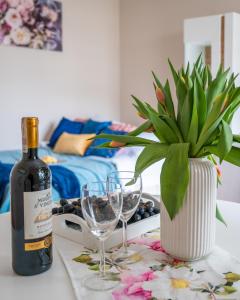 ワルシャワにあるP&O Apartments Kolska 9b - CH KLIFの鉢植えの植物をテーブルに置いたワイン1本とグラス1杯