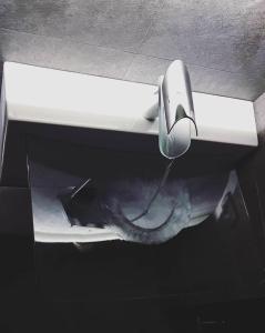 a bathroom sink with a fish sticking out of it at Cinecittà Luxury GUEST HOUSE in Rome
