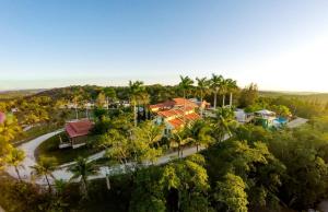an aerial view of a resort with palm trees at Rumors Resort Hotel in San Ignacio
