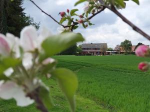 Photo de la galerie de l'établissement B SIX Hotel, à Syke