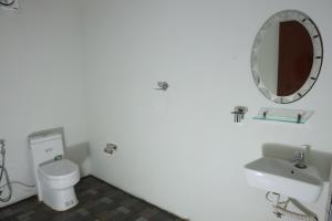 a bathroom with a toilet and a sink and a mirror at KOOMANKOLLY RESORT in Thirunelli