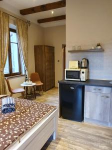 Dapur atau dapur kecil di Labský Dvůr