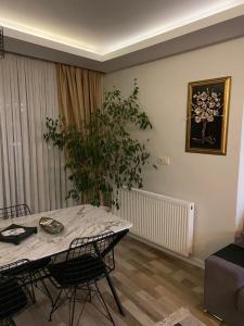 barbarian konusu Istanbul Hotels Turkey | Book Online
