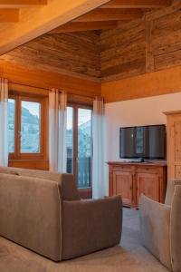 博爾米奧的住宿－Pista Stelvio Loft Lumière，带沙发和电视的客厅
