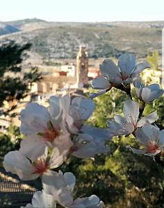 un grupo de flores blancas en un árbol con una ciudad en el fondo en Apartamento Rural Alfawara, en Alfafara