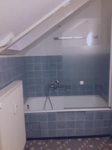 a bathroom with a bath tub with a shower at Monteurwohnung - Business Apartment in Wertheim