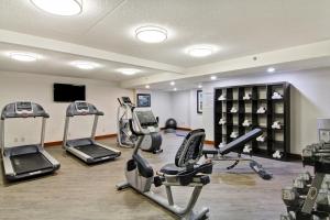 a gym with treadmills and cardio equipment in a room at Holiday Inn Oakville Centre, an IHG Hotel in Oakville