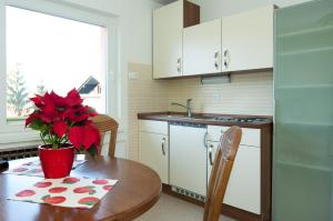 Kuchyň nebo kuchyňský kout v ubytování Apartments Mencinger