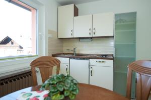Kuchyň nebo kuchyňský kout v ubytování Apartments Mencinger