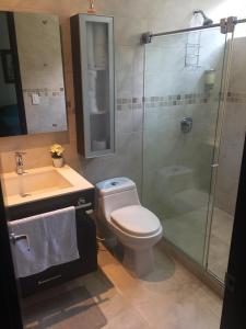 a bathroom with a shower and a toilet and a sink at Cabaña Campestre Las Palmas in Pereira