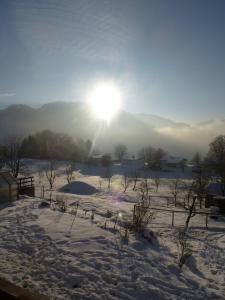 Paesaggio naturale nelle vicinanze dell'appartamento