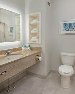 A bathroom at Holiday Inn Express Hotel & Suites Clifton Park, an IHG Hotel
