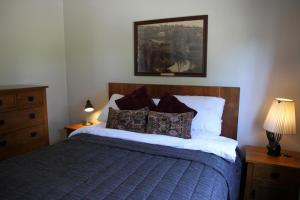 a bedroom with a bed and a picture on the wall at Tarawhata Thermal Apartment in New Plymouth