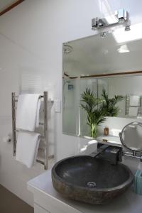 a bathroom with a stone sink and a mirror at Tarawhata Thermal Apartment in New Plymouth
