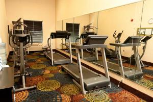a gym with treadmills and ellipticals in front of a mirror at Holiday Inn Express Hotel & Suites Bloomington-Normal University Area, an IHG Hotel in Bloomington