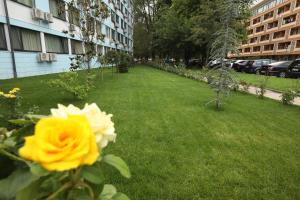 Zahrada ubytování Hotel Delfin