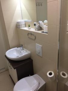 Vannituba majutusasutuses B&B Alex18