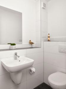 La salle de bains blanche est pourvue d'un lavabo et de toilettes. dans l'établissement Haus Südwester Herzmuschel, à Timmendorfer Strand