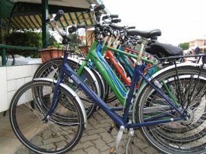 Vožnja bicikla kod ili u okolini objekta Hotel Autostello