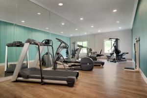 une salle de sport avec plusieurs tapis de course et machines elliptiques dans l'établissement Holiday Inn Express Hotel & Suites Dallas NE - Allen, an IHG Hotel, à Allen