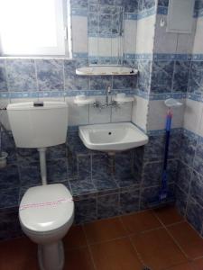 La salle de bains est pourvue de toilettes et d'un lavabo. dans l'établissement Doctor's House, à Sinemorets